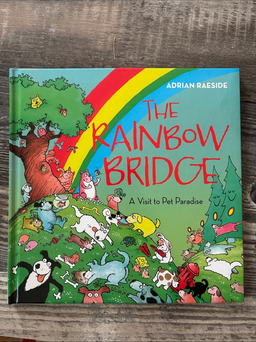 The Rainbow Bridge - Green Pet Book Pet Loss for kids